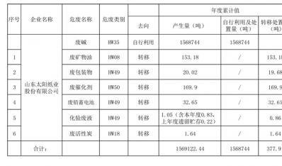 山东k8凯发纸业股份有限公司清洁生产审核前公示